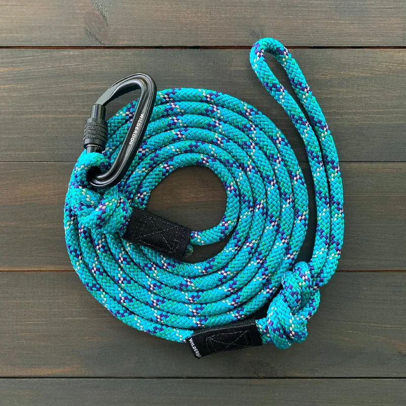 Islander Reflective Leash