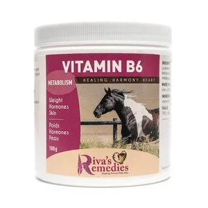 Riva's Remedies Vitamin-B6