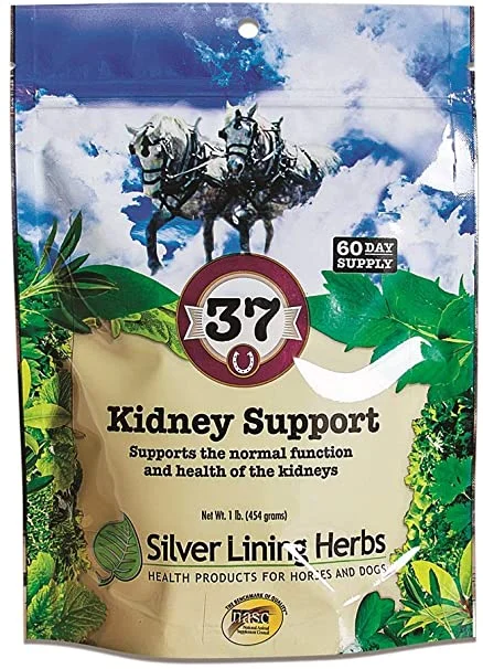 Silver Lining Herbs 37 Kidney Support for Horses