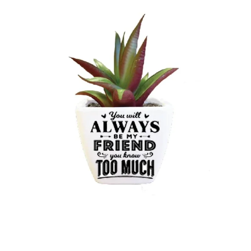 H & H Gifts : Artificial Succulent - Friend