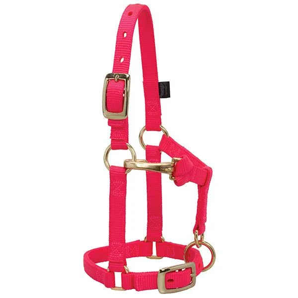 Weaver Miniature Horse Adjustable 5/8" Nylon Halter