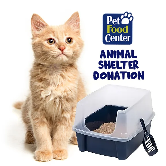 Shelter Cat Litter and Litter Box - Let us Pick for You - Paw Street