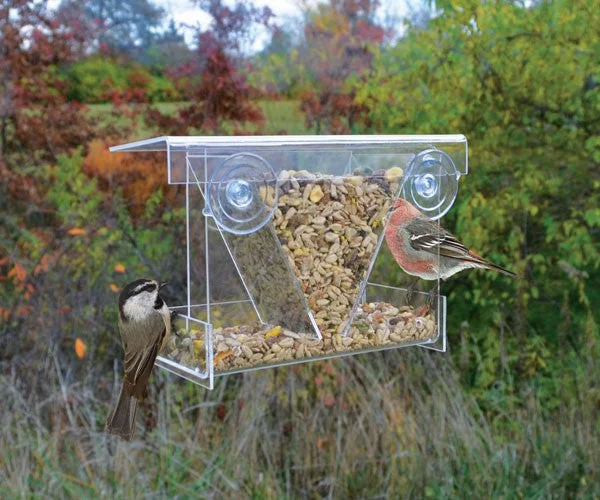 Songbird Essentials Clear View Hopper Window Feeder