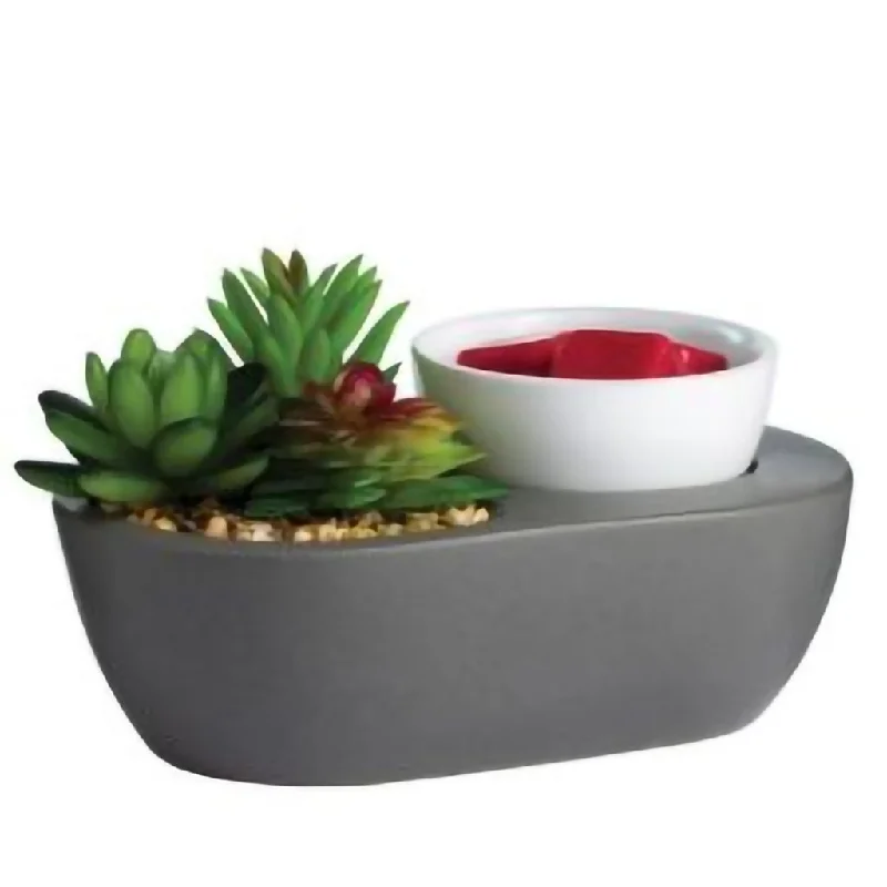 Airomé : Succulent ArtScents Wax Warmer