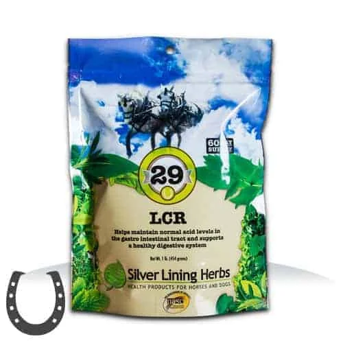 Silver Lining Herbs 29 LCR for Horses