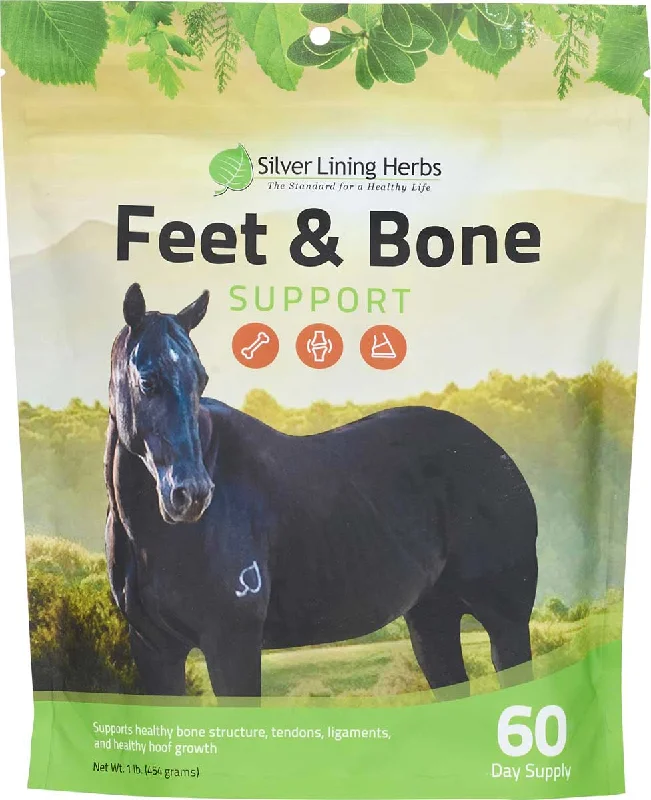 Silver Lining Herbs Feet & Bone Support for Horses