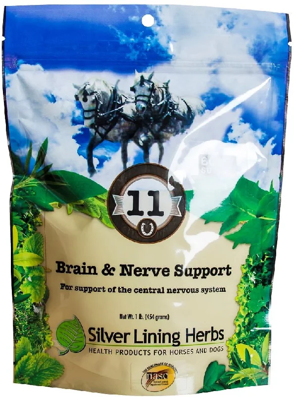 Silver Lining Herbs Brain & Nerve Support Horse Supplement