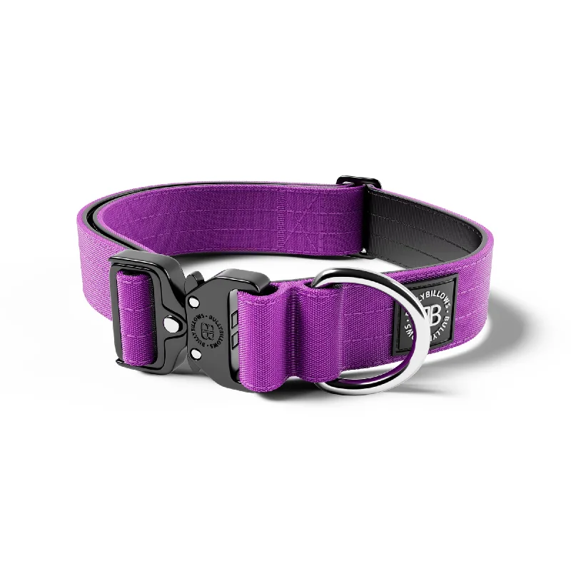 4cm Combat® Collar | Rated Clip - NO HANDLE - Purple