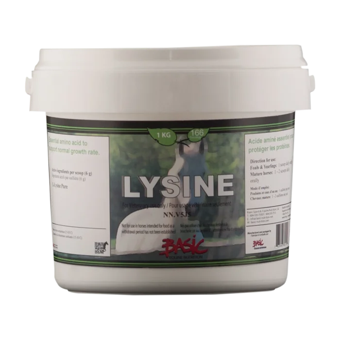 Basic Equine Nutrition Lysine Pure