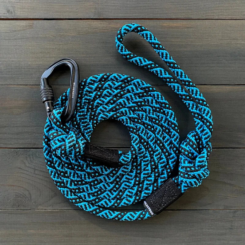 Teton Leash